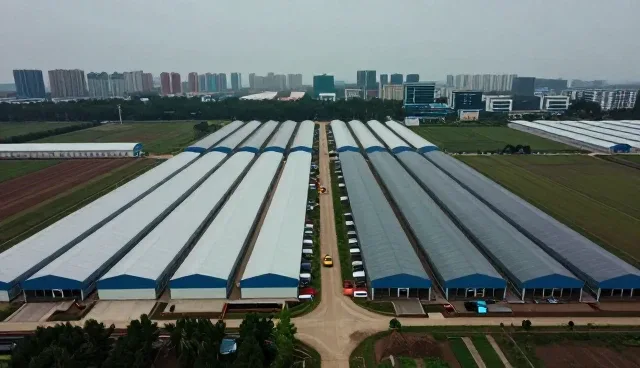 短视频拍摄中性能表现的常见问题与解决思路